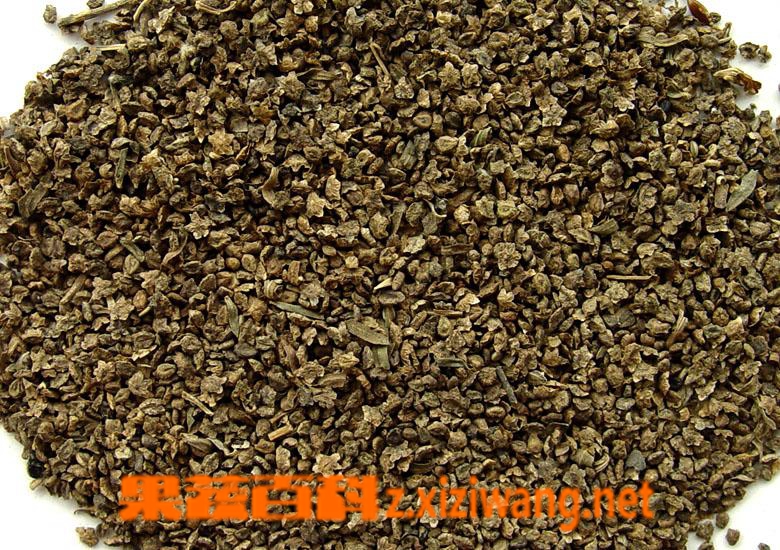 果蔬百科地肤子的功效与作用