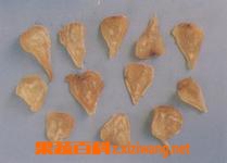 果蔬百科附子的功效与作用