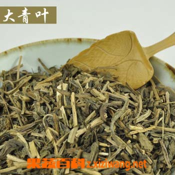 果蔬百科大青叶的功效与作用