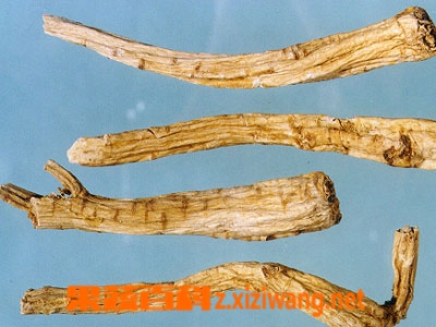 果蔬百科鹿角胶的功效与作用