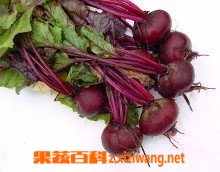 果蔬百科红菜头怎么吃  