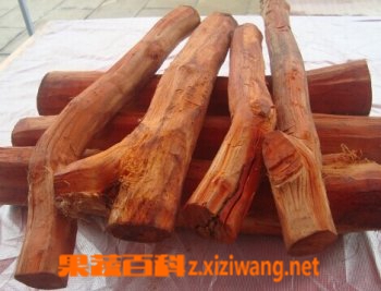 果蔬百科中药苏木