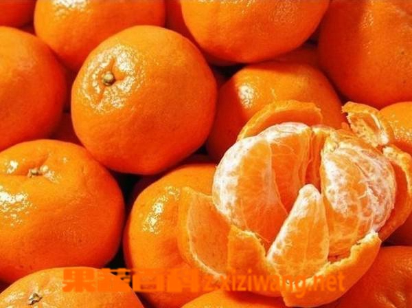 果蔬百科蜜橘皮