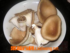 果蔬百科猪肚菇