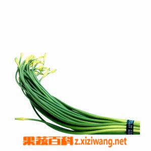 果蔬百科蒜薹的营养价值与食用功效