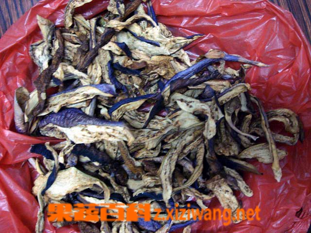 果蔬百科茄子干