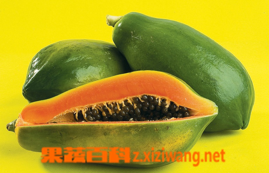 果蔬百科木瓜