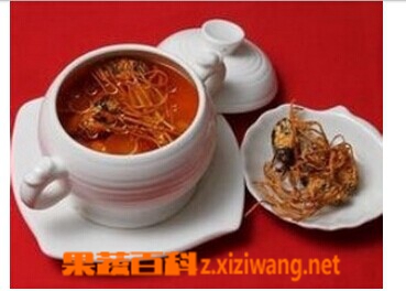 果蔬百科蛹虫草