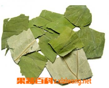 果蔬百科干荷叶茶