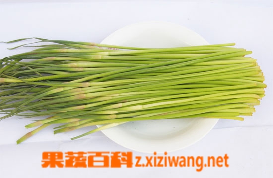 果蔬百科 蒜薹