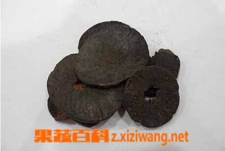 果蔬百科焦槟榔