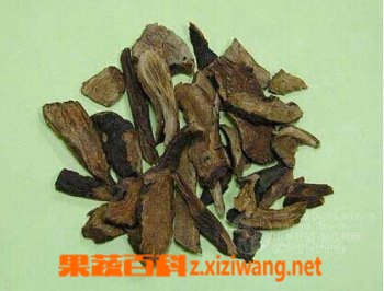 果蔬百科地榆炭