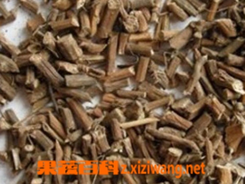 果蔬百科醋柴胡