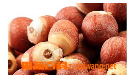 果蔬百科鸡头米的营养价值