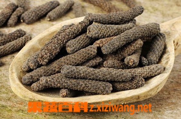 果蔬百科荜拨