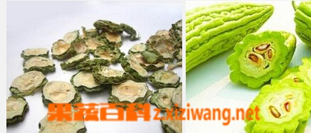 果蔬百科苦瓜干泡茶