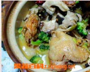 果蔬百科砂锅香菇鸡汤