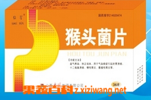 果蔬百科猴头菌片