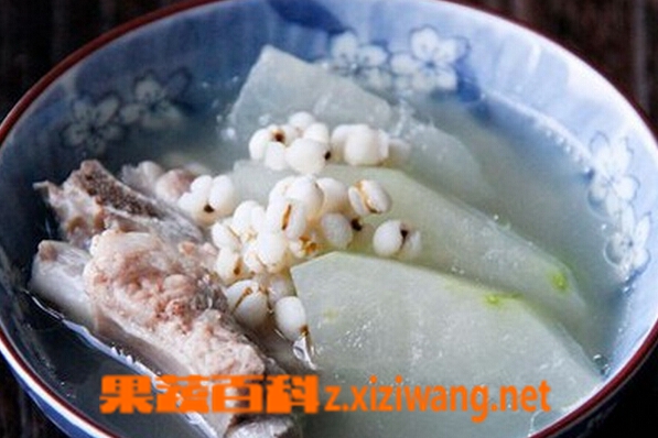 果蔬百科薏米冬瓜排骨汤