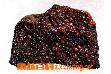 果蔬百科赭石