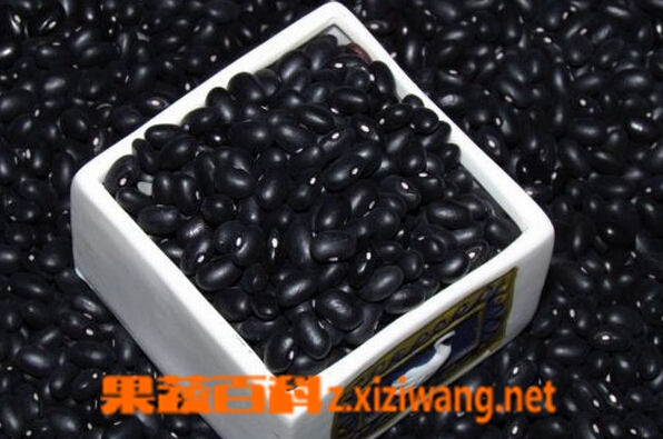 果蔬百科黑扁豆和黑豆的区别