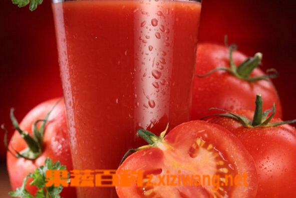 果蔬百科番茄汁