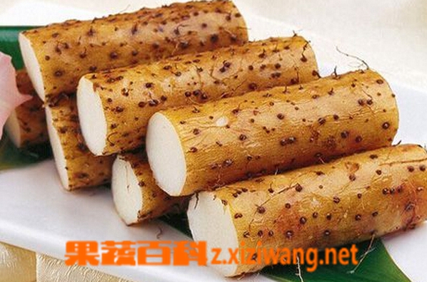 果蔬百科山药