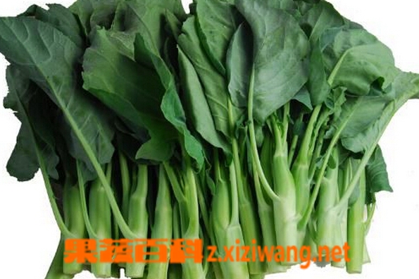 果蔬百科芥蓝