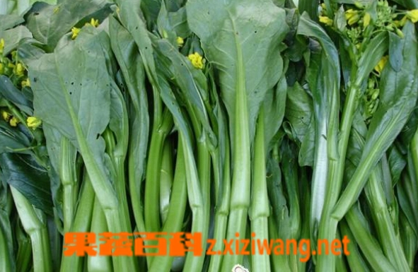 果蔬百科芥蓝营养价值