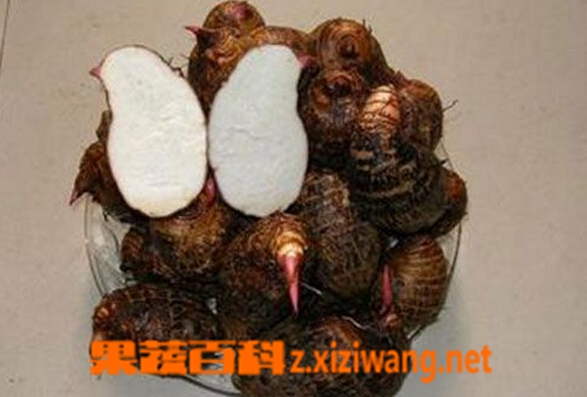 果蔬百科红芋头的功效与作用