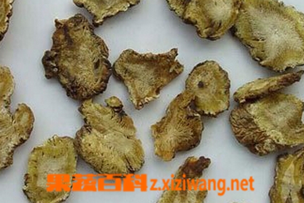 果蔬百科中药独活