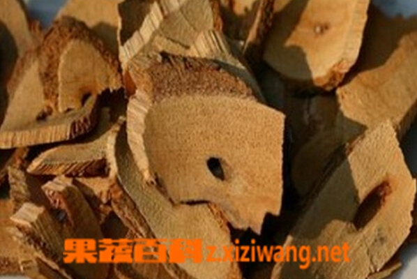 果蔬百科藤梨根