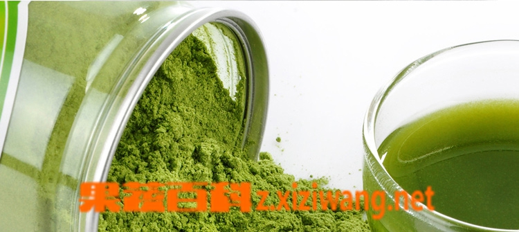 果蔬百科大麦叶的功效和药用价值