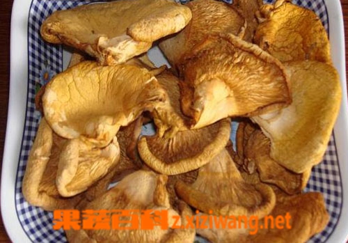 果蔬百科元蘑怎么做好吃
