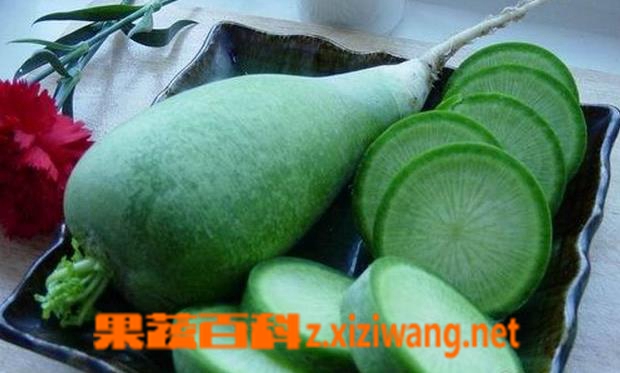 果蔬百科青萝卜的功效与作用 