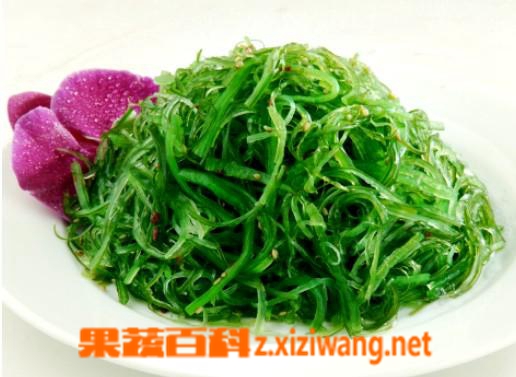 果蔬百科裙带菜的做法大全