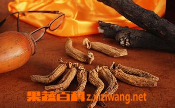 果蔬百科高丽红参的功效与作用
