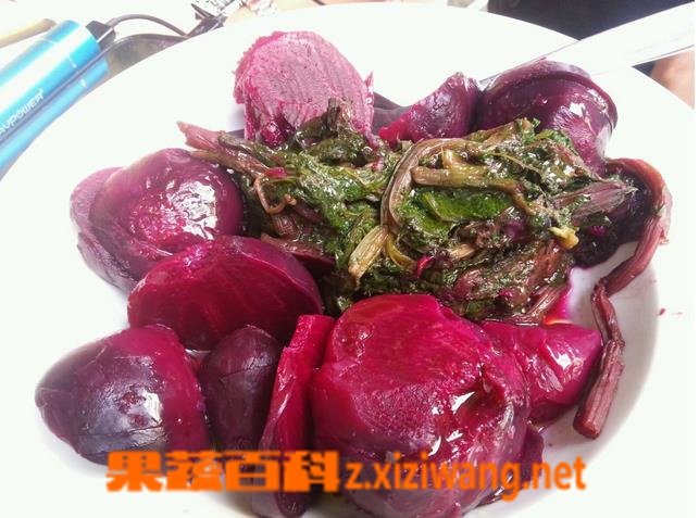 果蔬百科红菜头孜然肉片怎么做