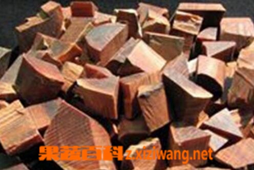 果蔬百科油松节的功效与作用