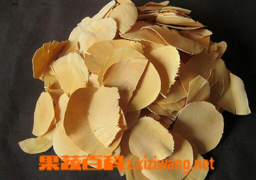 果蔬百科东革阿里的功效与作用
