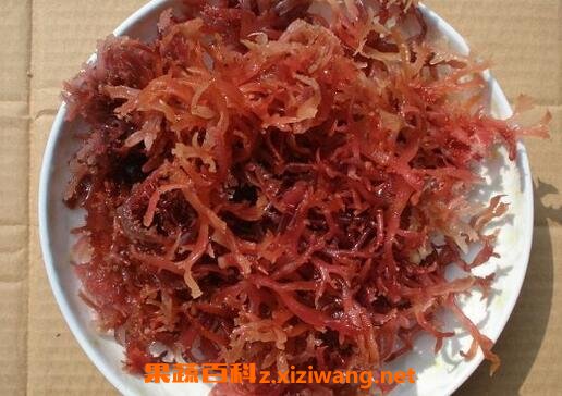 血珊瑚草的功效与作用