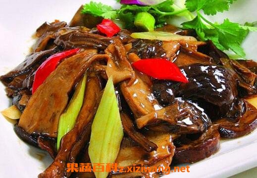  黑牛肝菌的功效与作用