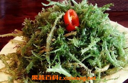 鹿角菜的功效与作用