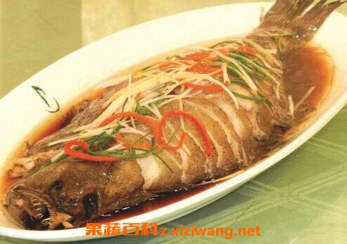 鸦片鱼的功效作用与食用方法