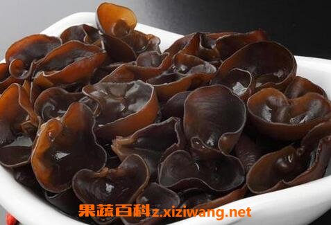 黑木耳的功效与适宜人群