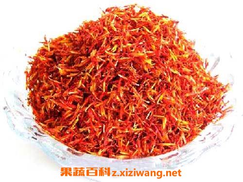藏红花