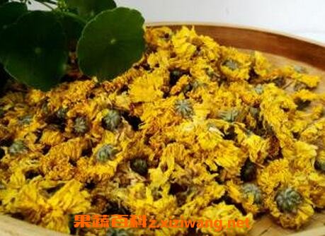 自制干菊花茶方法技巧