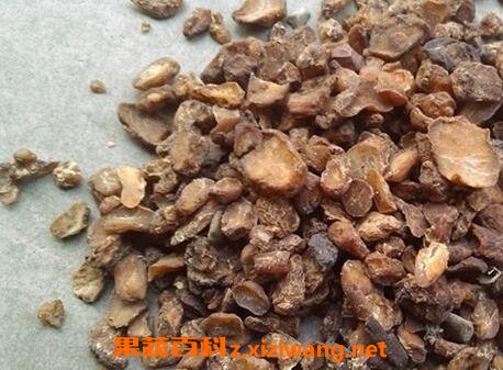 中药姜半夏的功效与作用