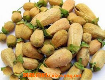 玳玳花药用价值