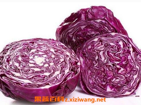 紫心包菜的营养价值